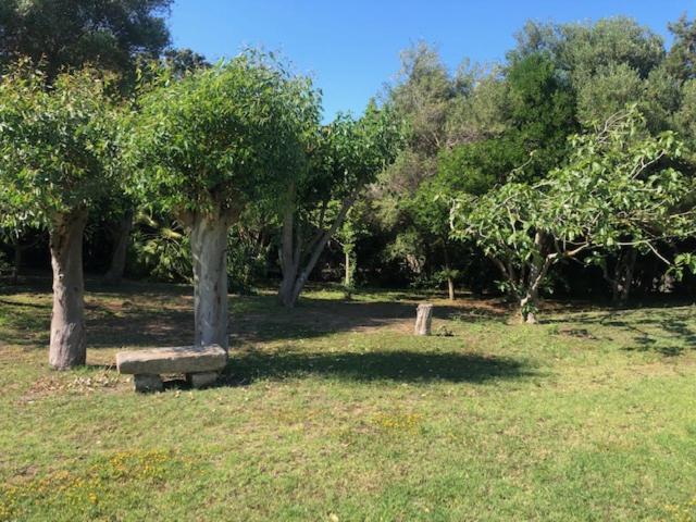 סטינטינו Civico 34 House 6 - Suite 2 Livelli מראה חיצוני תמונה